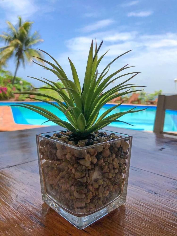 Hotel Mont Joli Cap-Haïtien Esterno foto